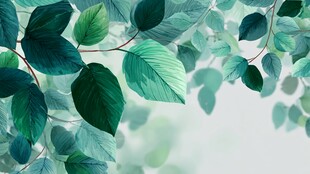 清新绿叶背景图