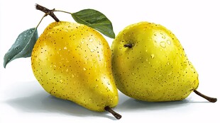 两个带叶黄梨清新画面