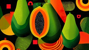 多彩木瓜插画 视觉盛宴