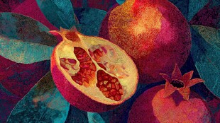 绚丽色彩下的诱人石榴