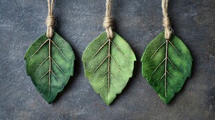 手工绿叶吊饰 简约自然风