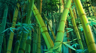 翠绿竹林梦幻自然景观