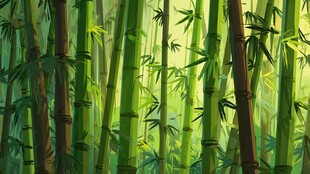 梦幻竹林 清新自然景象