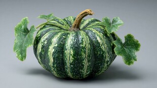 绿纹南瓜带叶清新亮相