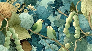 枝头双鸟栖 绿叶间生趣