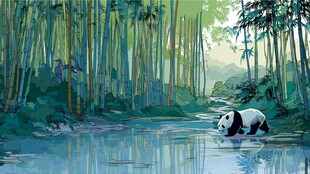 竹林溪边的可爱大熊猫