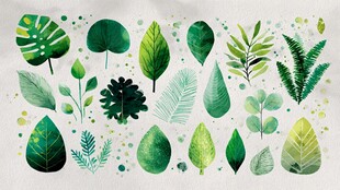 水彩风多样绿叶图案集合