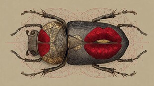 唇纹甲虫 独特艺术昆虫形象