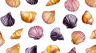 水彩贝壳图案 缤纷海洋元素