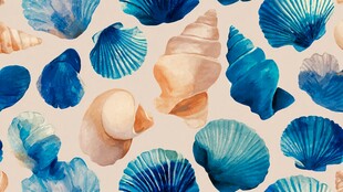 水彩贝壳图案 清新海洋风