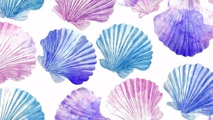 水彩贝壳图案的梦幻海洋风