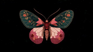 梦幻彩蝶展翅图