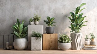 室内绿植组合装点素雅空间