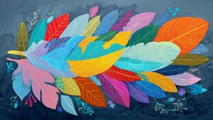 多彩羽毛梦幻插画