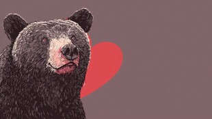 可爱黑熊与爱心背景插画