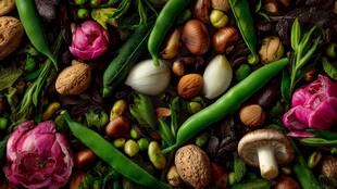 缤纷果蔬坚果花卉大集合