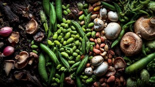 多彩新鲜蔬菜豆类大集合