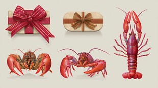 礼盒与龙虾插画素材