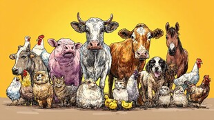 农场动物大集合