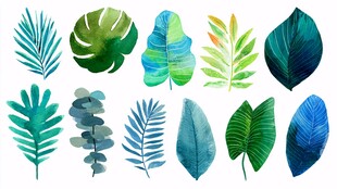 水彩风热带植物叶片集合