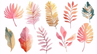 水彩风多彩植物叶片插画