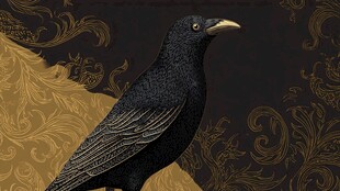 黑金风格下的优雅黑鸟