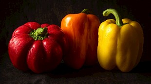 多彩甜椒静物特写