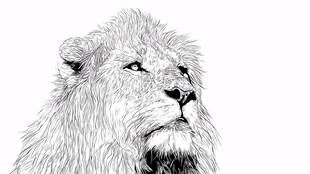 线条勾勒的威严雄狮头部