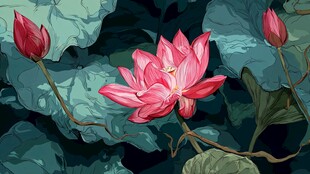 绽放的粉色荷花与荷叶