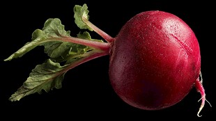 鲜红水嫩的圆萝卜