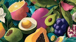 缤纷多彩的水果与绿植世界