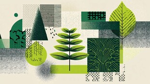 几何绿植抽象艺术插画