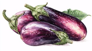 三个紫茄子带绿叶插画