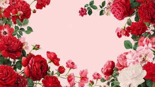 浪漫花卉边框 色彩绚丽