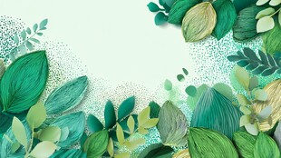 绿叶环绕的清新背景画面