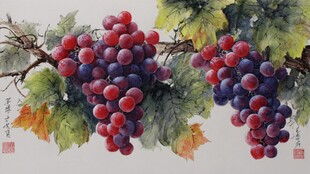 国画葡萄图 硕果累累