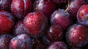 新鲜带水珠的饱满紫李子