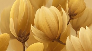 金黄玉兰花绽放之美