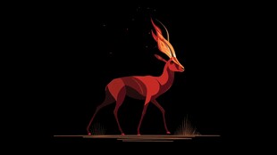 火焰羚羊的神秘夜色漫步