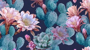 梦幻仙人掌花卉图案