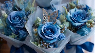 蓝色梦幻玫瑰蝴蝶花束