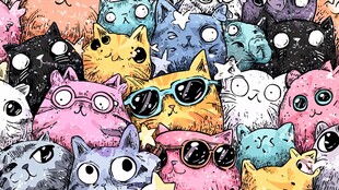 多彩萌猫大集合