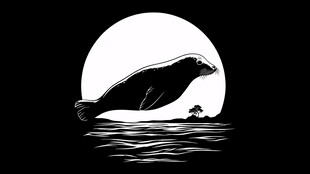 月夜下跃出水面的海豹