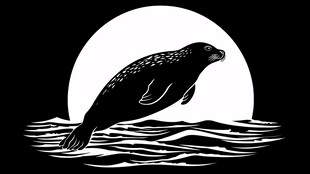 海豹跃出水面迎明月