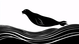 海豹跃于波浪之上