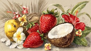 热带风情水果花卉组合