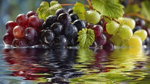 葡萄倒映水中的多彩景致