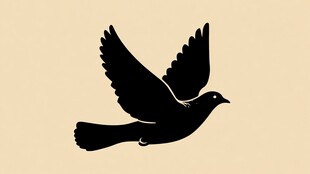 飞翔的鸽子剪影