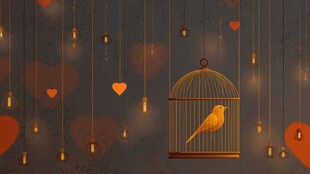 笼中黄鸟与浪漫爱心夜景