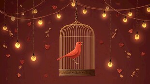 笼中红鸟与浪漫灯光装饰